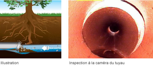 Tuyau décalé - Inspection à la caméra du tuyau