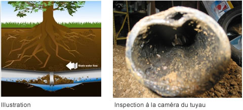 Tuyau écrasé - Inspection à la caméra du tuyau