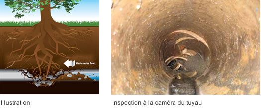 Tuyau perforé - Inspection à la caméra du tuyau